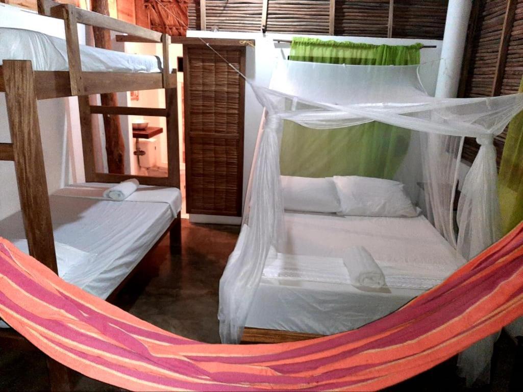 Ecohotel Kocoluu سان برناردو ديل فينتو المظهر الخارجي الصورة